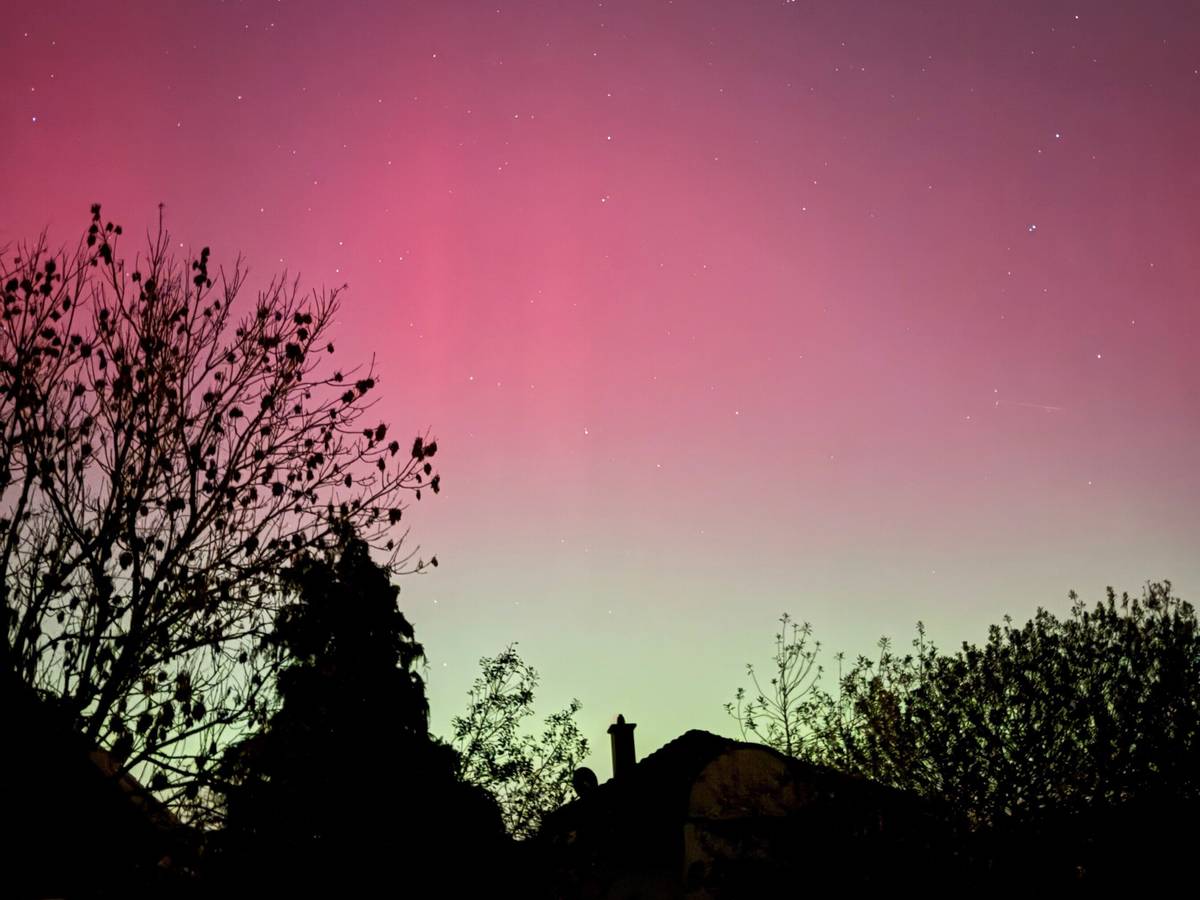 Strafzoll auf Ossenkämper