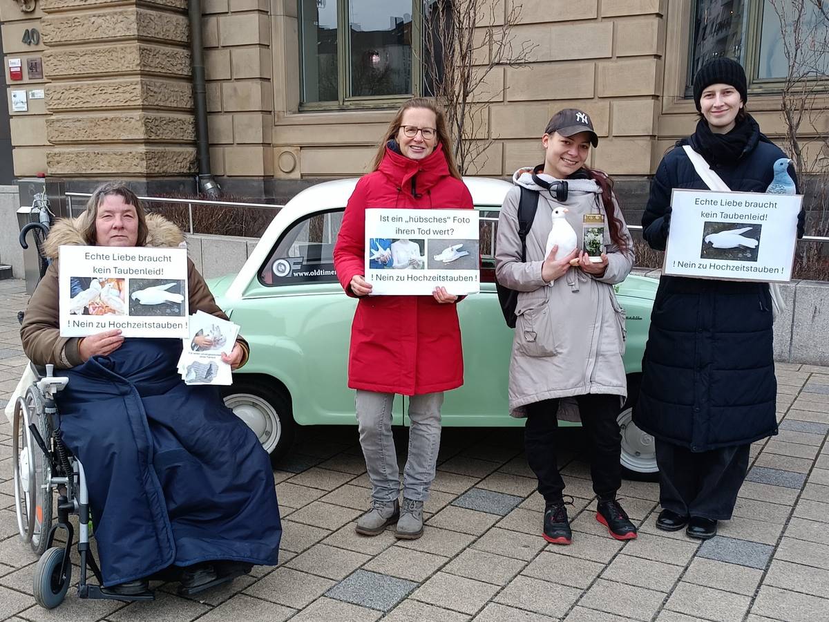 Der „schönste Tag im Leben“ – ohne Hochzeitstauben