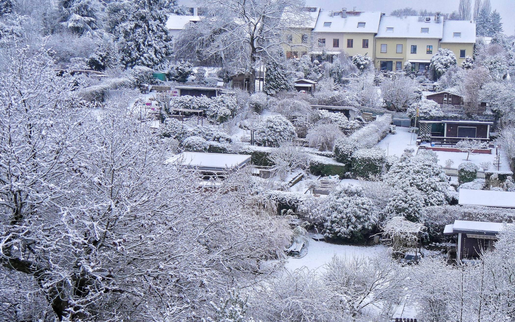 Bilder: Weiter weißer Winter in Wuppertal