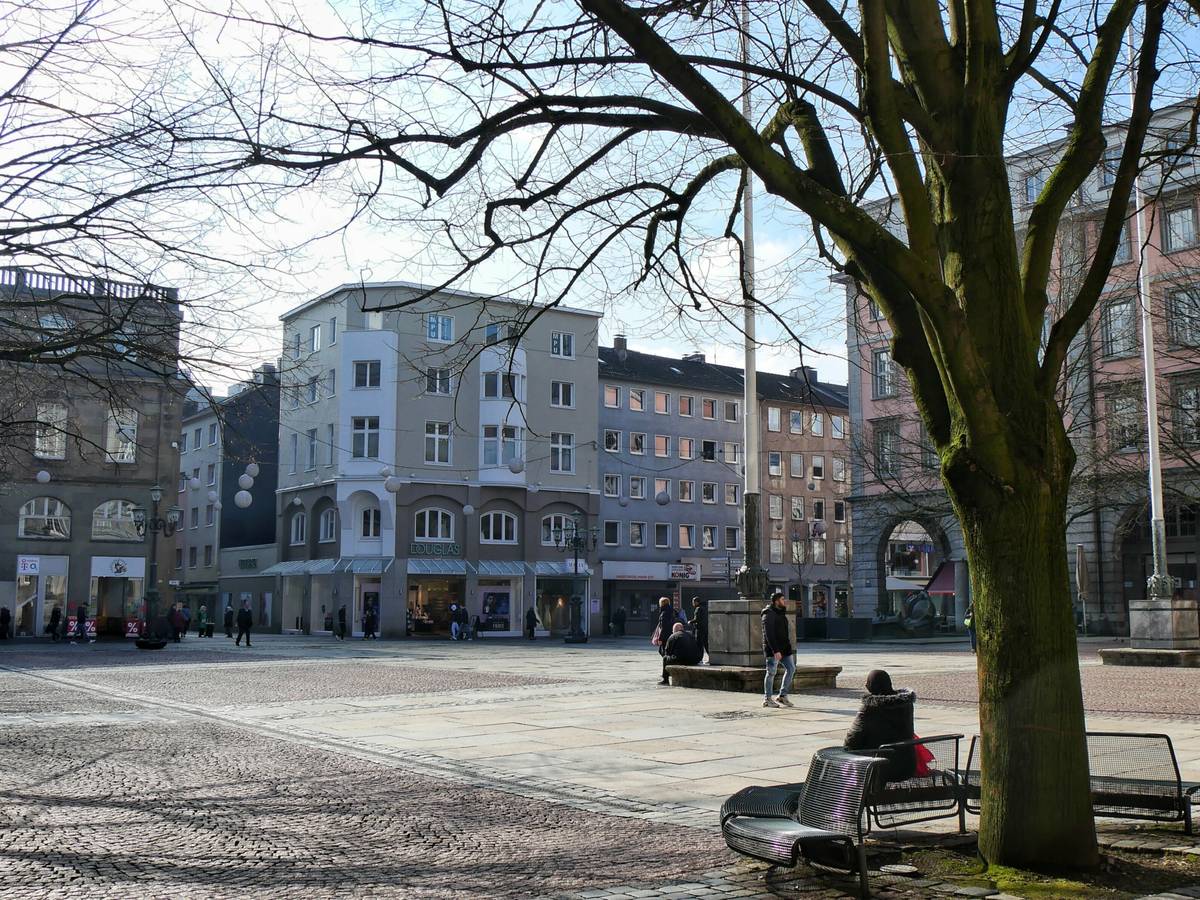 „Diese alten Bäume gehören zum Stadtbild“
