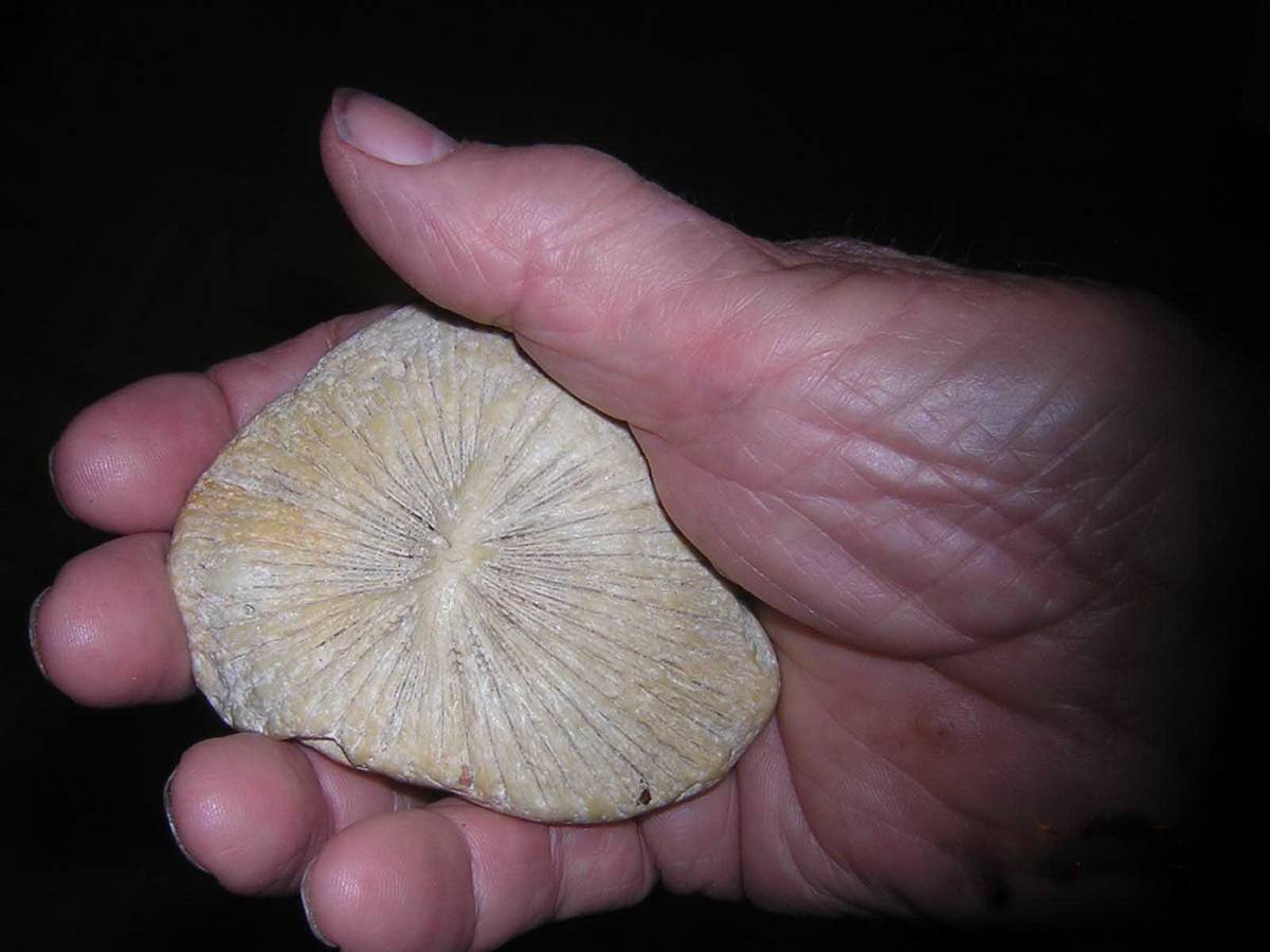 Angriff im Urlaub: „Ich hätte das nicht überlebt“