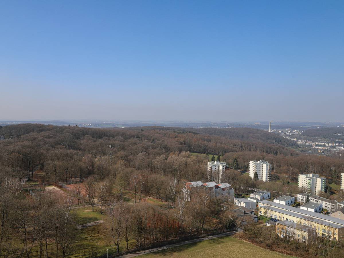 Forstabteilung startet Arbeiten auf der Königshöhe