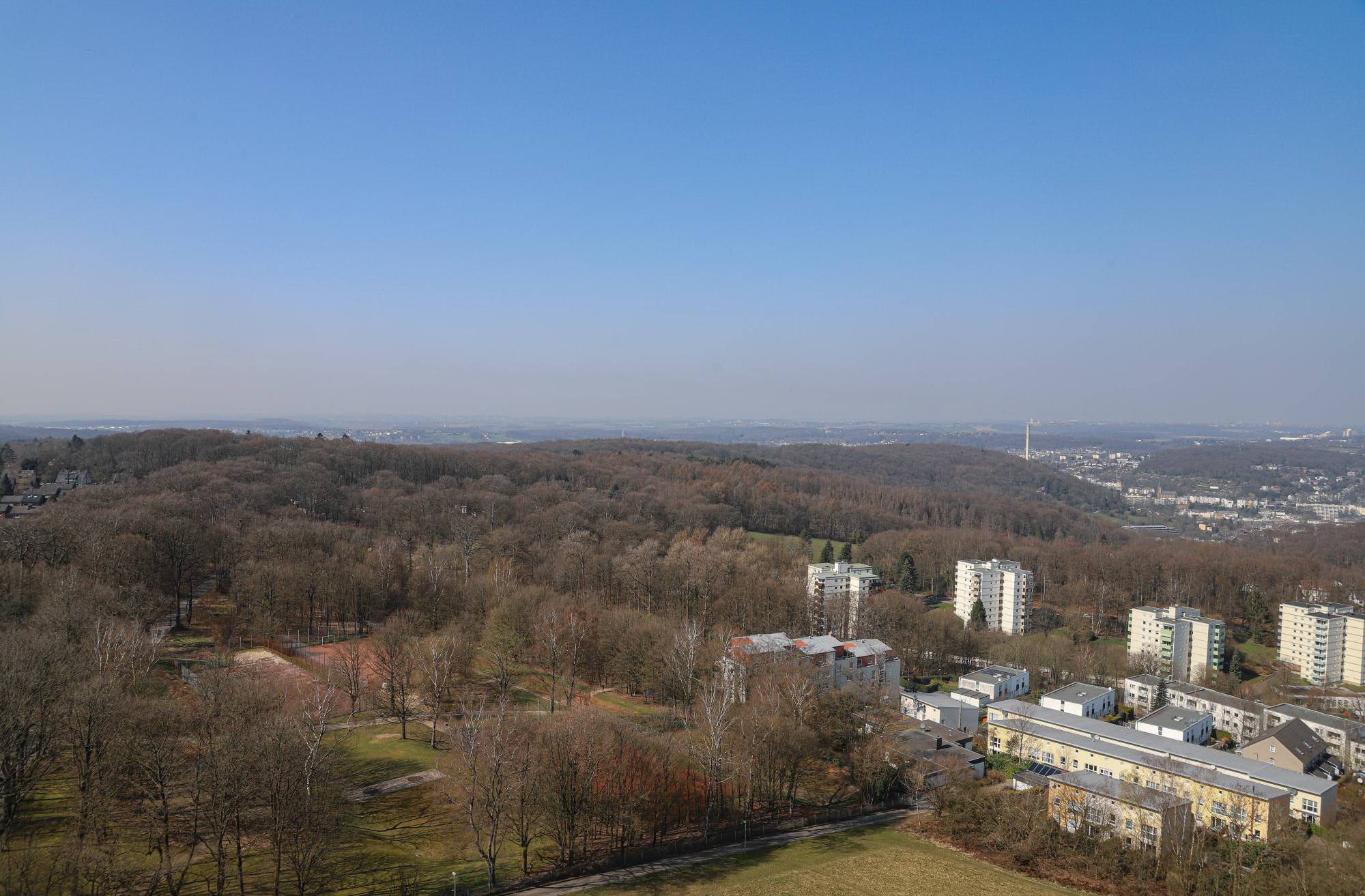 Forstabteilung startet Arbeiten auf der Königshöhe