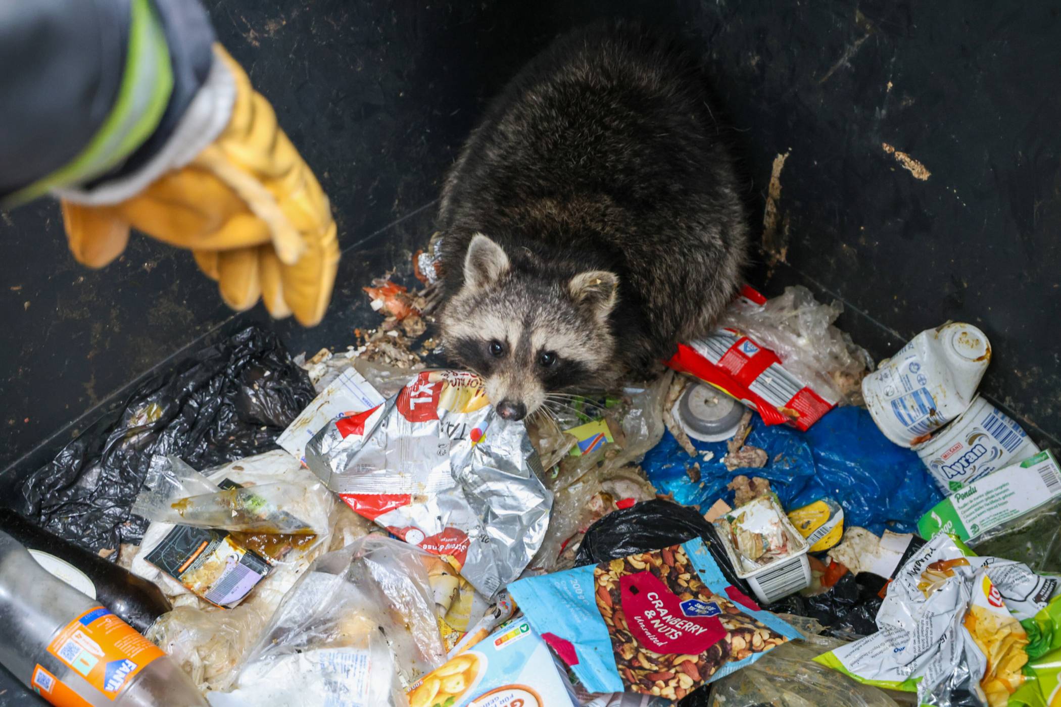 Das vorläufige Ende des Ausflugs.