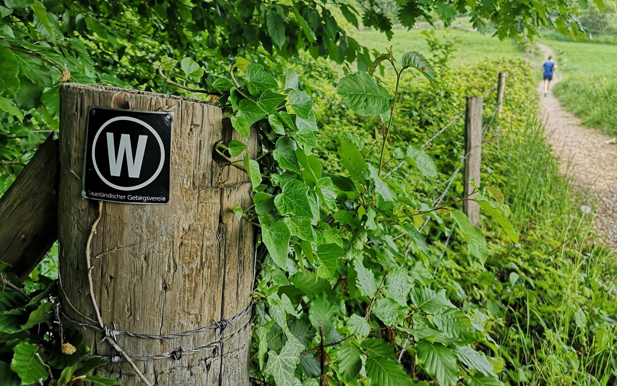 Erster „Team Walk by BIG direkt gesund“