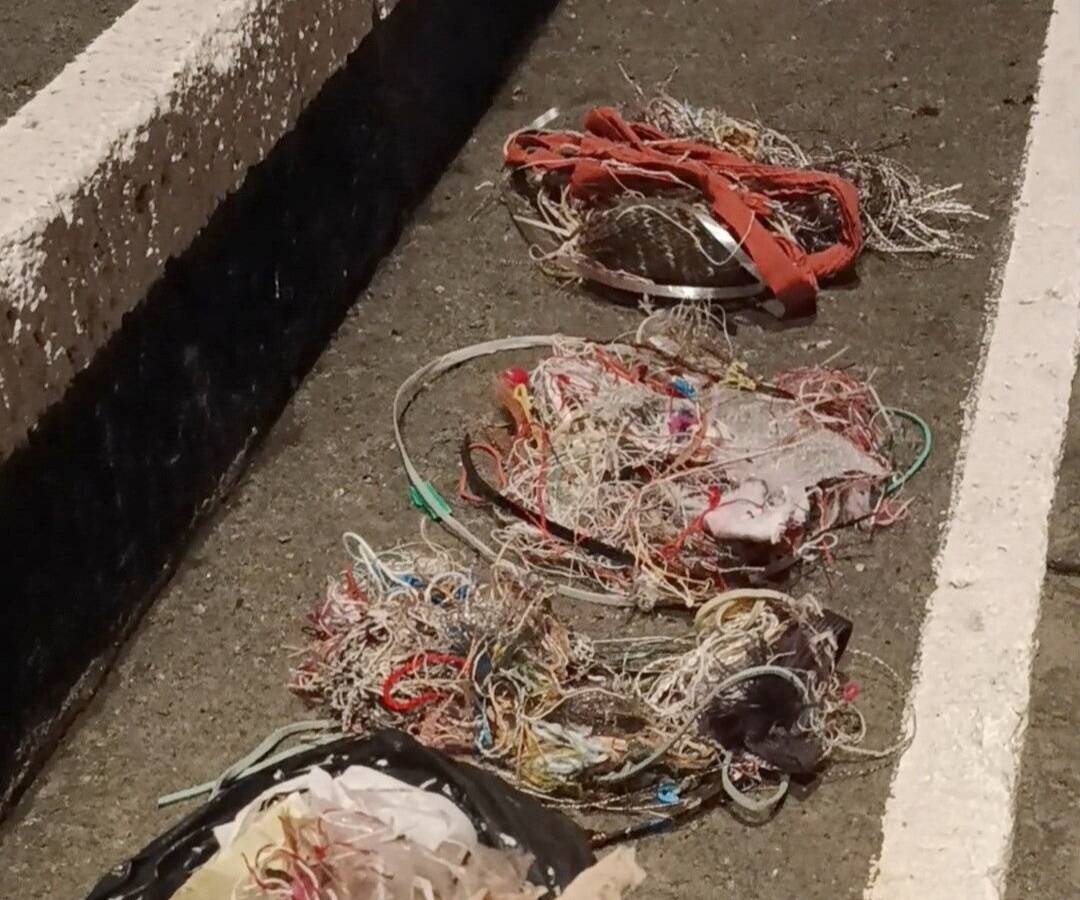 Tierschutzaktion auf dem Laurentiusplatz