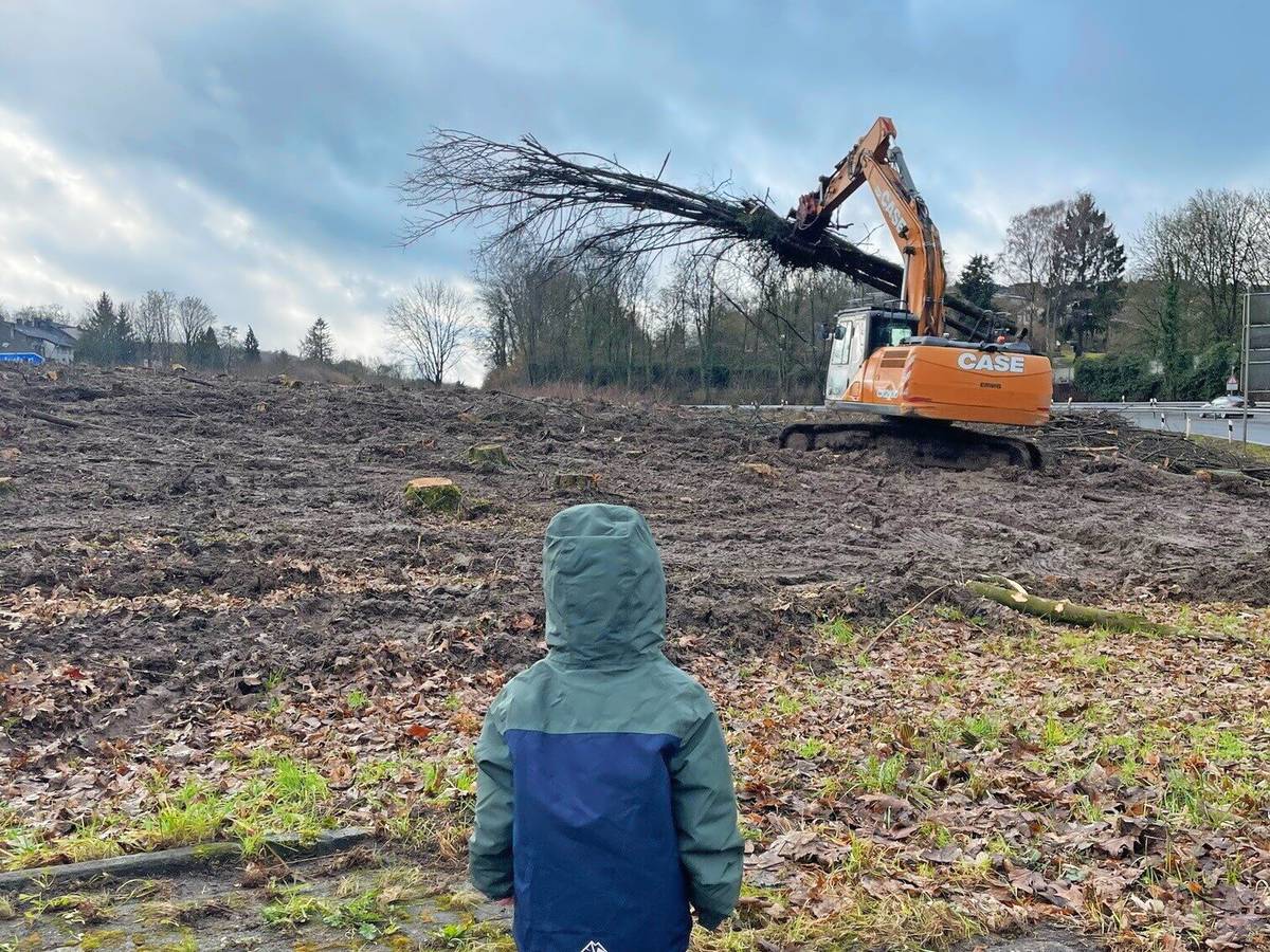 Briller Kreuz: Kahlschlag für Brücken-Baustelle