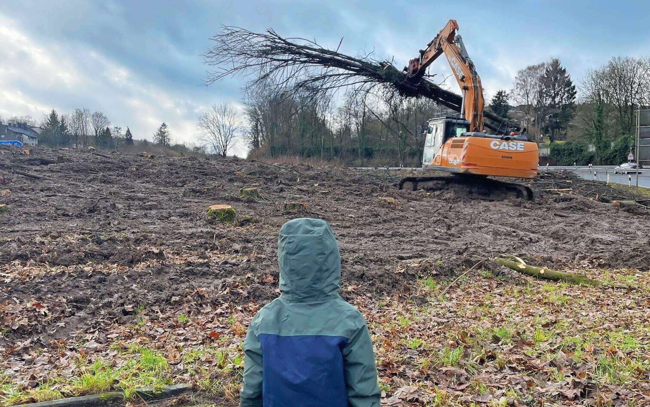  WR A46 Briller Kreuz Katernberg Baumfällung Baumfällungen Rodung Straßen.NRW 2-2026 