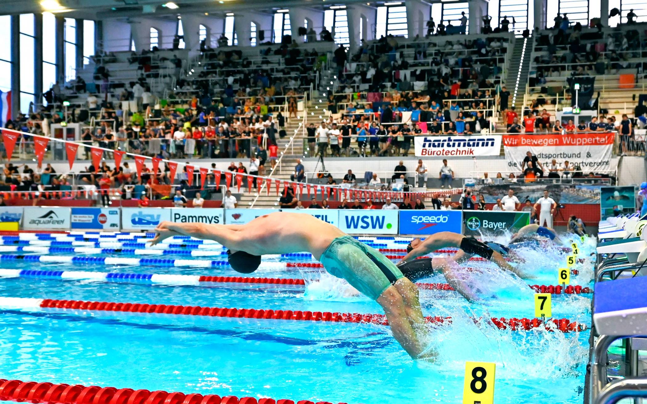 Szene von der Kurzbahn-DM in der Schwimmoper. 