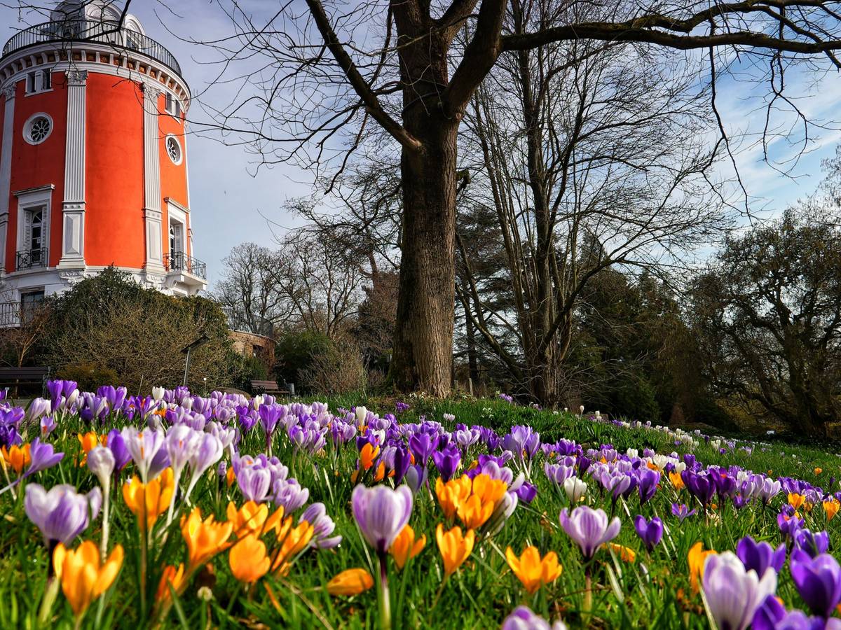 Der Frühling in Wuppertal
