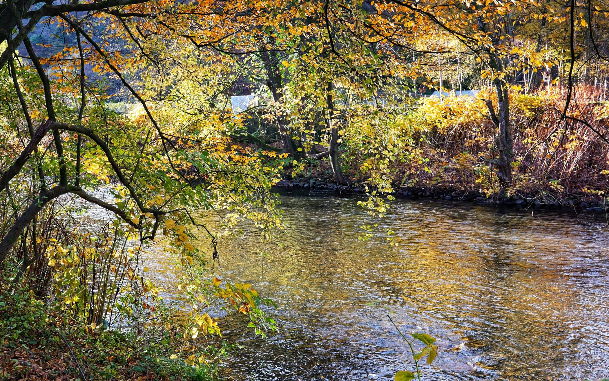Die Wupper im Bereich Sonnborn.