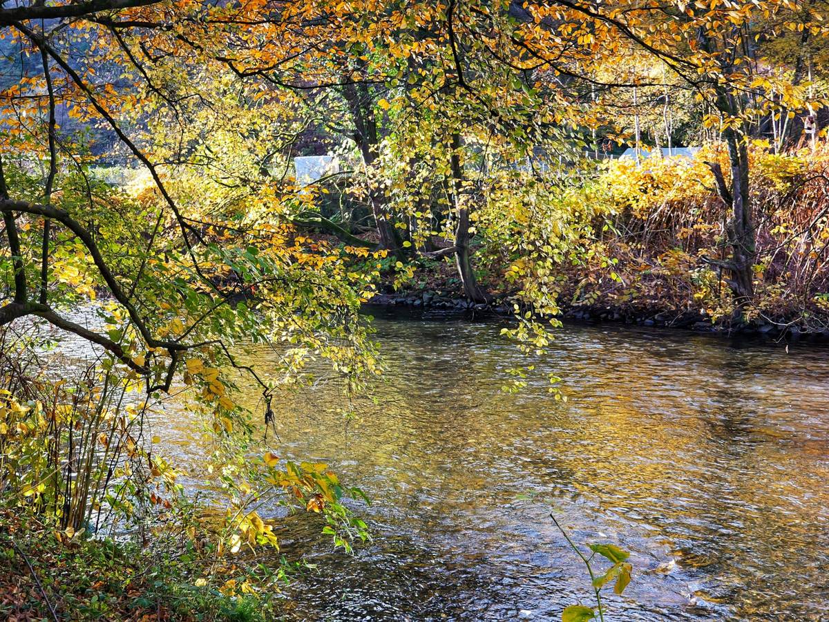 Wuppertaler Wasserwoche startet mit dem Wupperputz