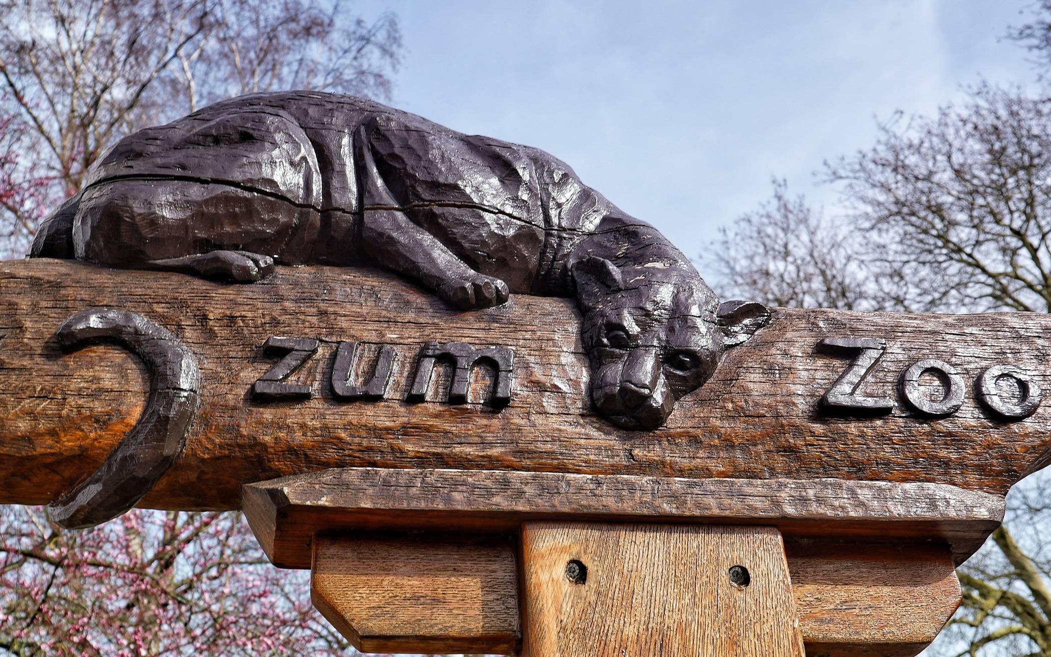 Durch das Zooviertel zum Stadion
