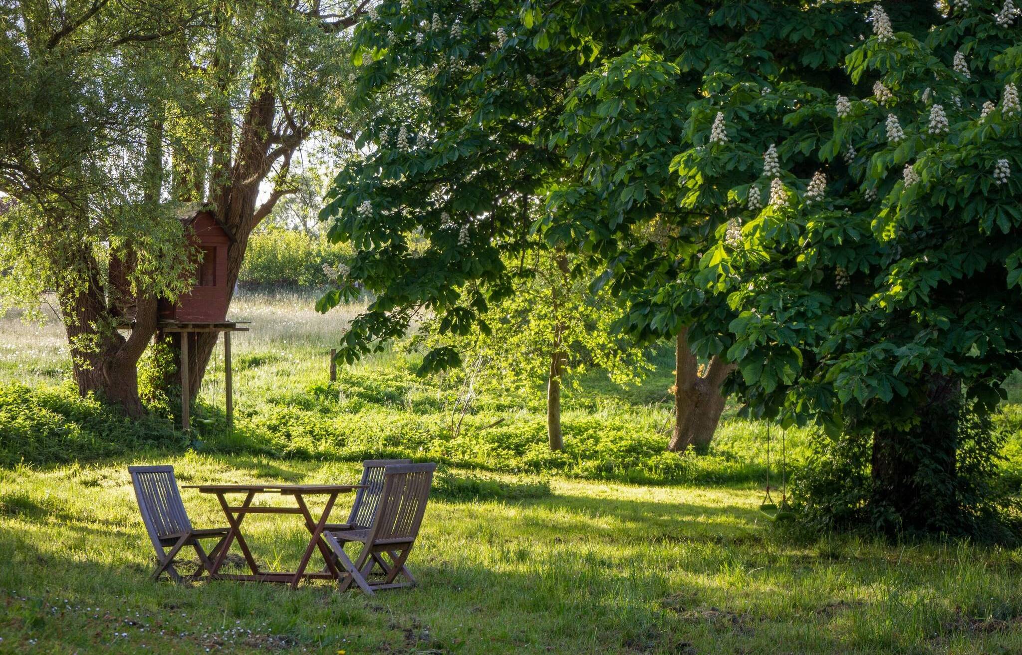 von Holz- bis zu Metallvarianten