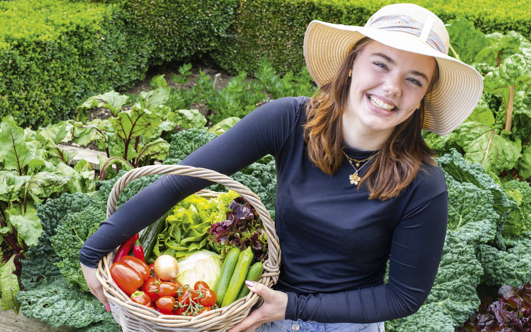 Selbstversorger-Trend in Wuppertal – gute Pflanzen, guter Start