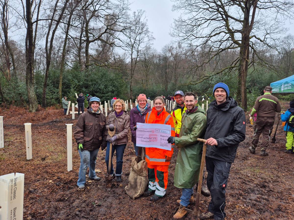 Über 50 Freiwillige pflanzten 700 Bäume in Ronsdorf
