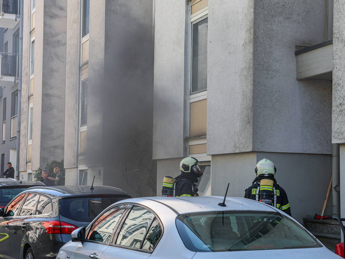 Feuerwehr rettet Menschen und Katze aus brennenden Wohnungen