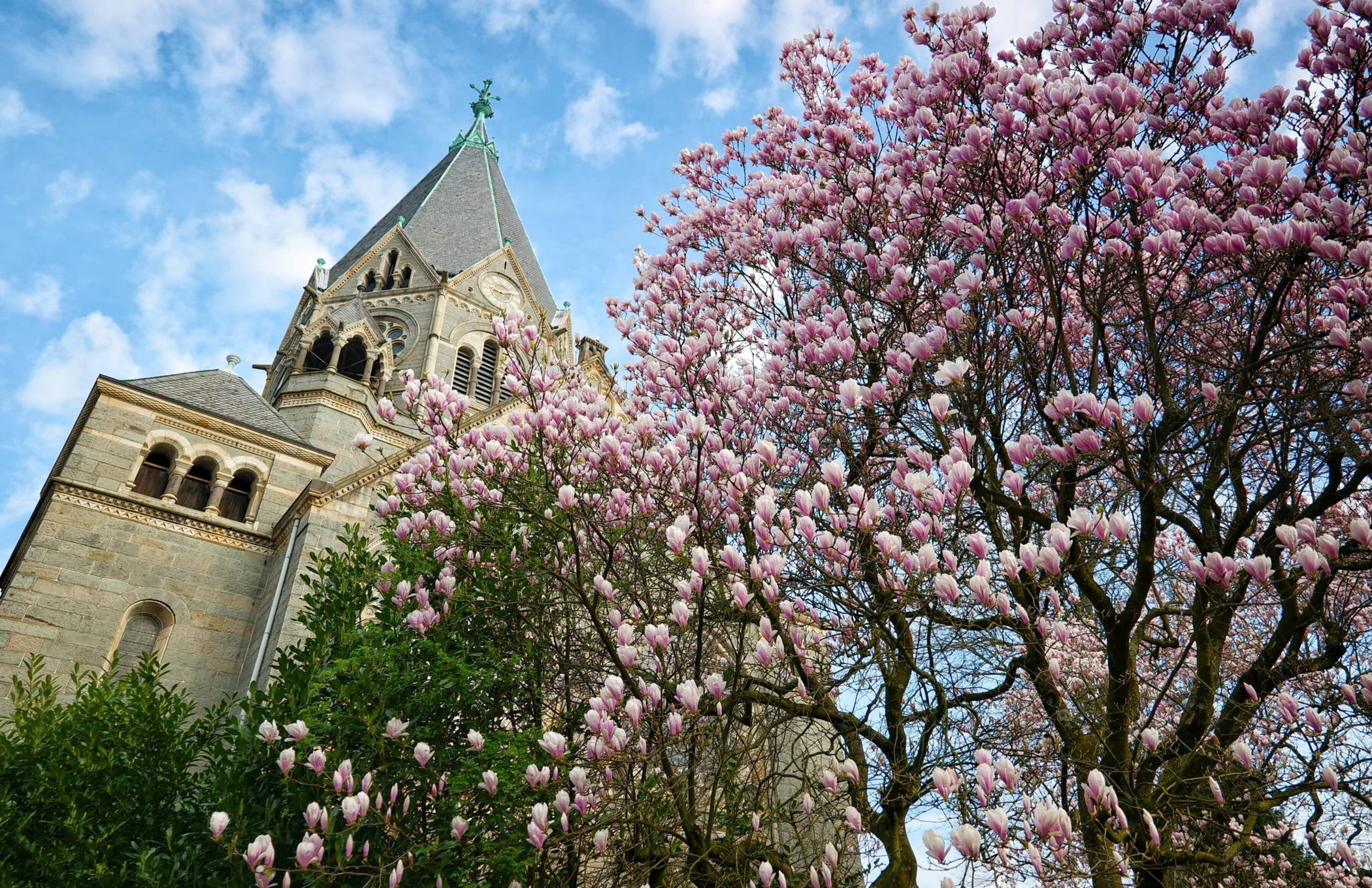  Pracht an der Friedhofskirche. 