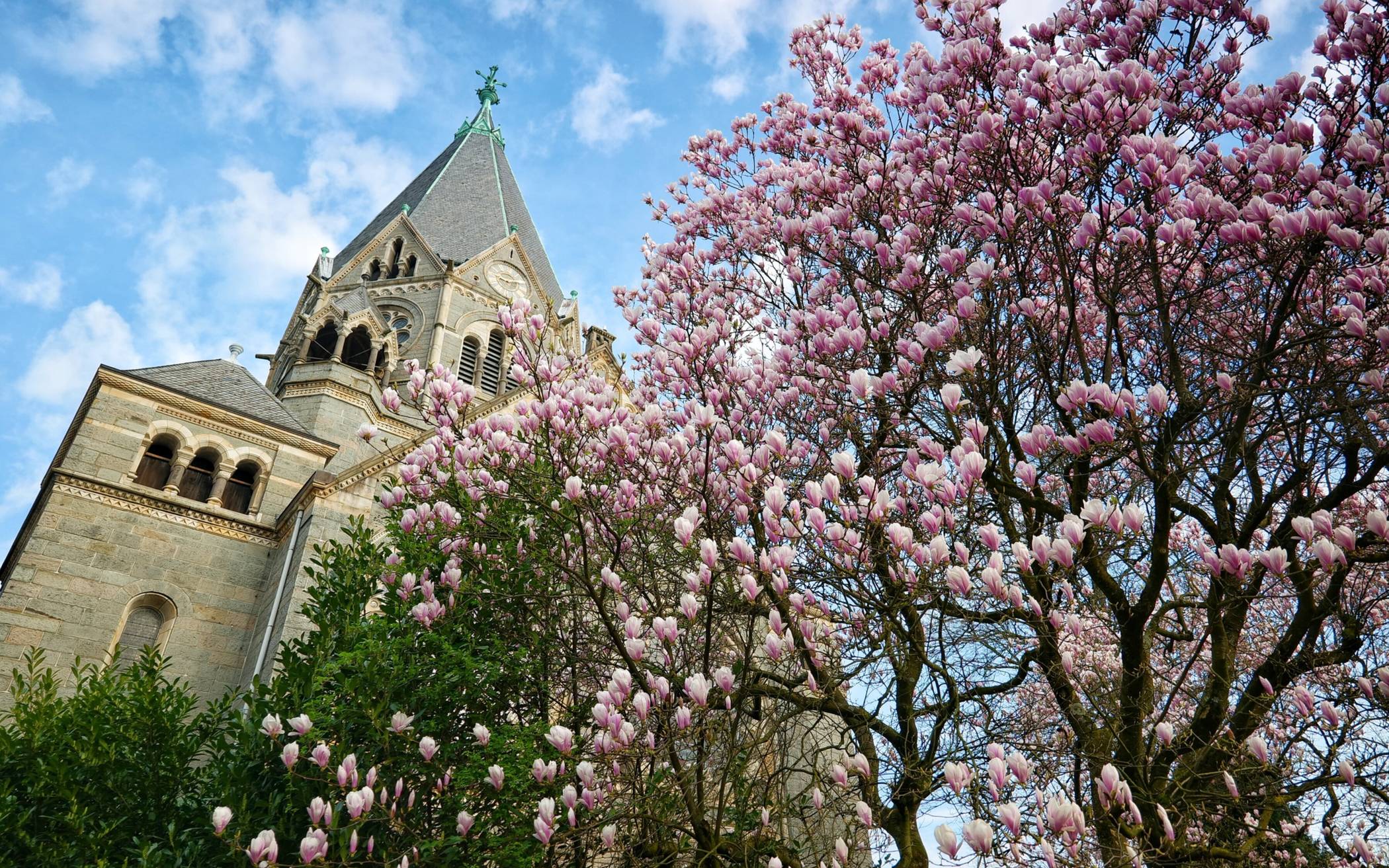 Pracht an der Friedhofskirche.