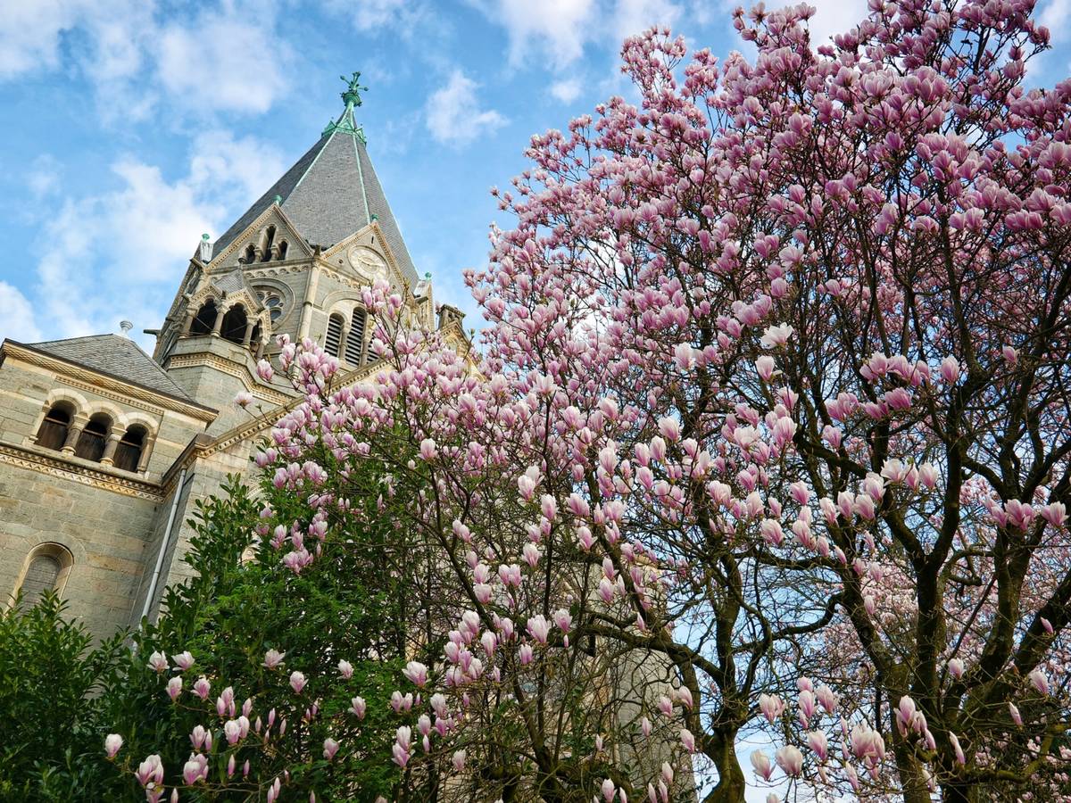 Impressionen: Es sprießt in Elberfeld