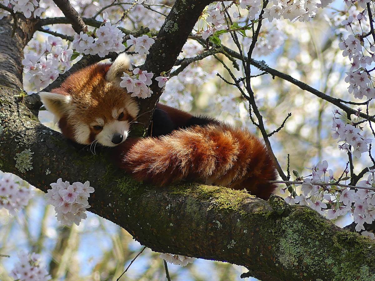 Osterrallye und mehr im Grünen Zoo