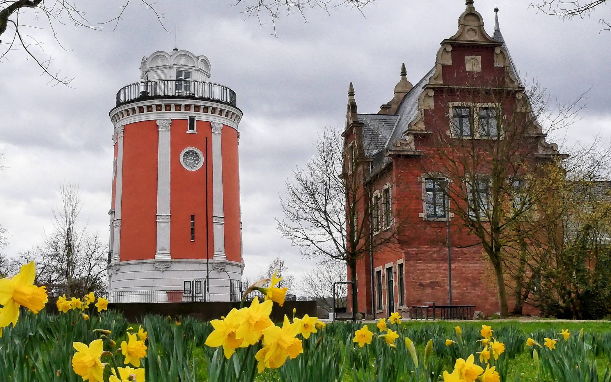 Es ist wieder Pflanzenberatung im Botanischen Garten
