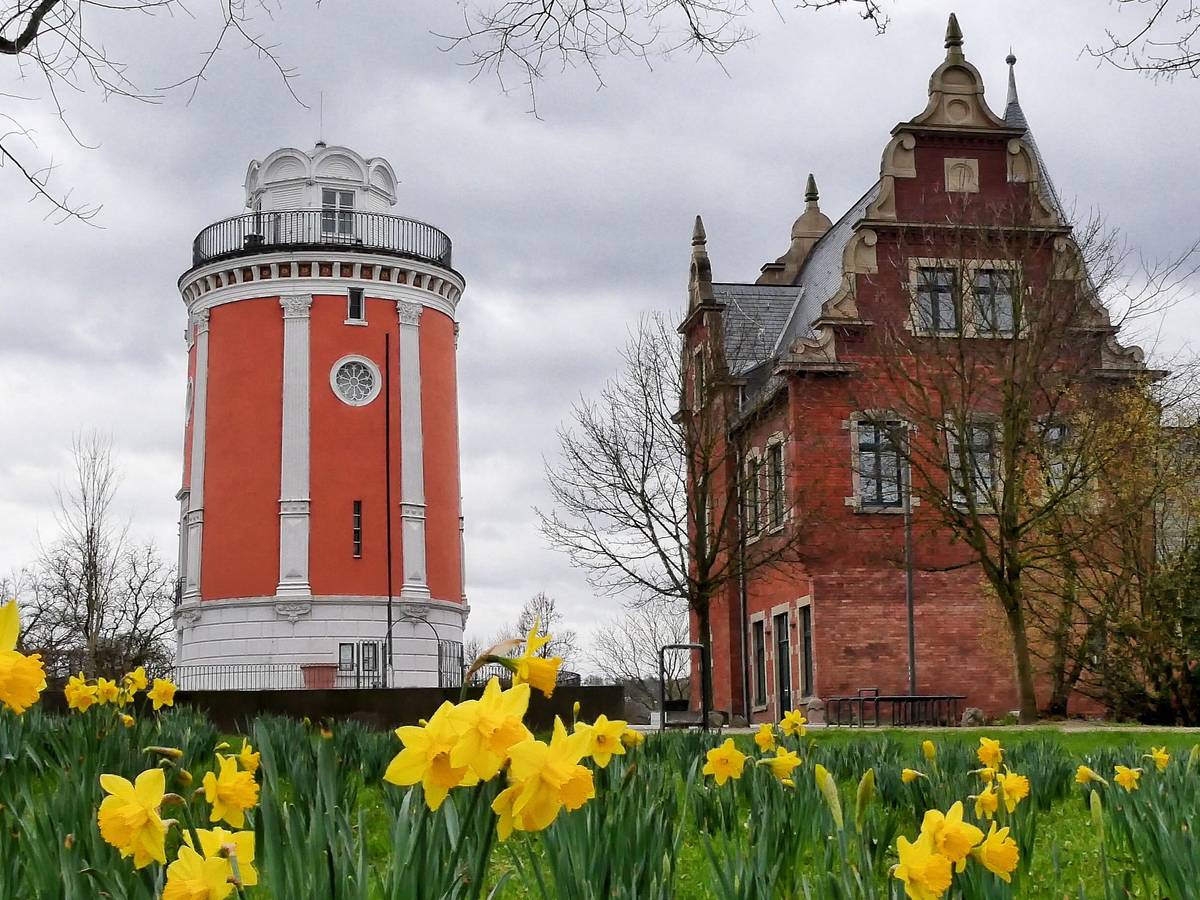 Es ist wieder Pflanzenberatung im Botanischen Garten