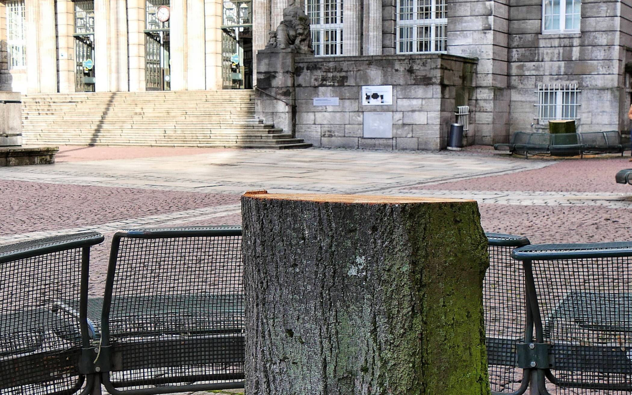 Die Linden mussten gefällt werden.