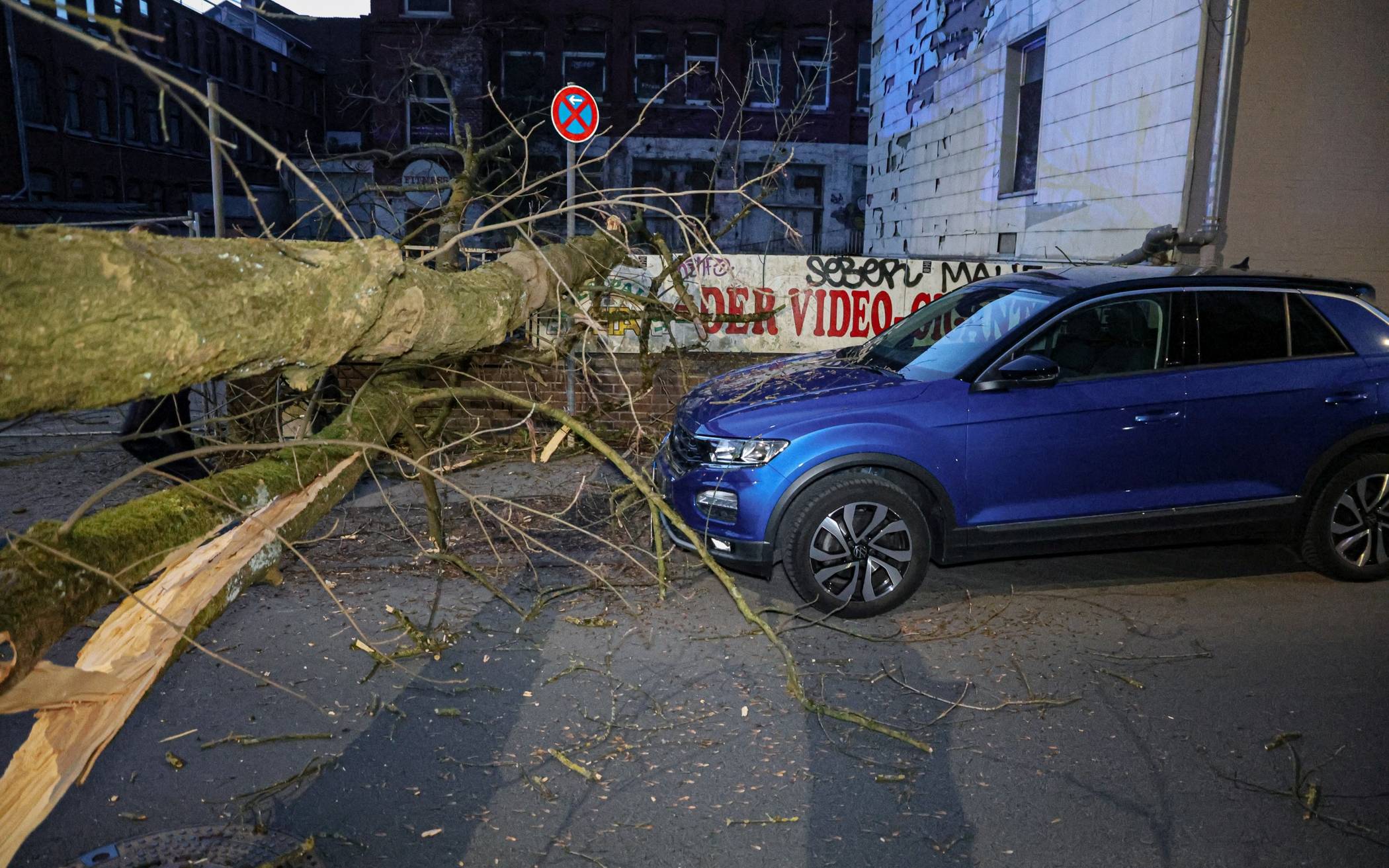 Bilder: Baum blockiert die Schönebecker Straße