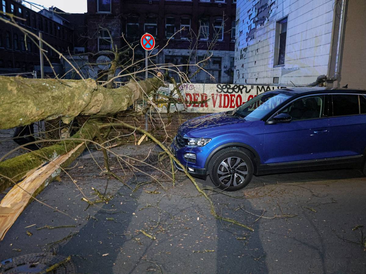 Baum blockiert Schönebecker Straße
