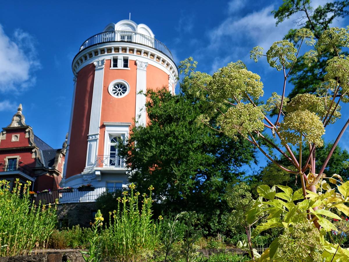Lernspaziergang im Botanischen Garten