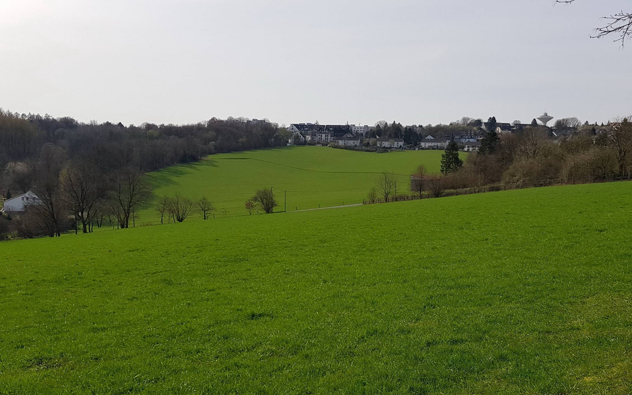„Was läuft dann, wer ist da beteiligt?“