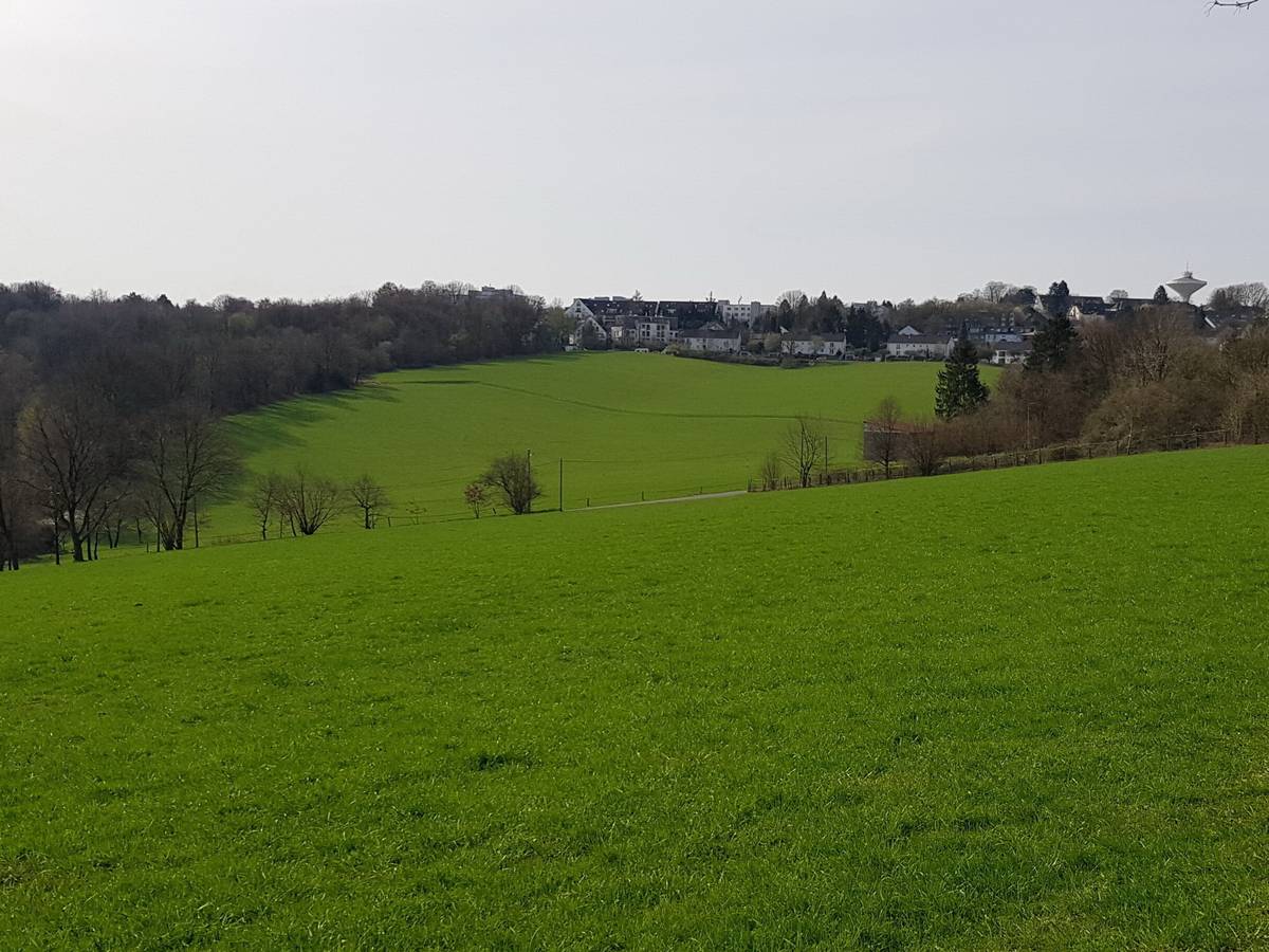 „Was läuft dann, wer ist da beteiligt?“