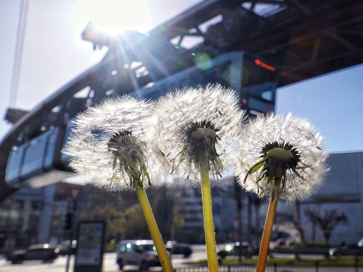 Barmen im Frühling 2026
