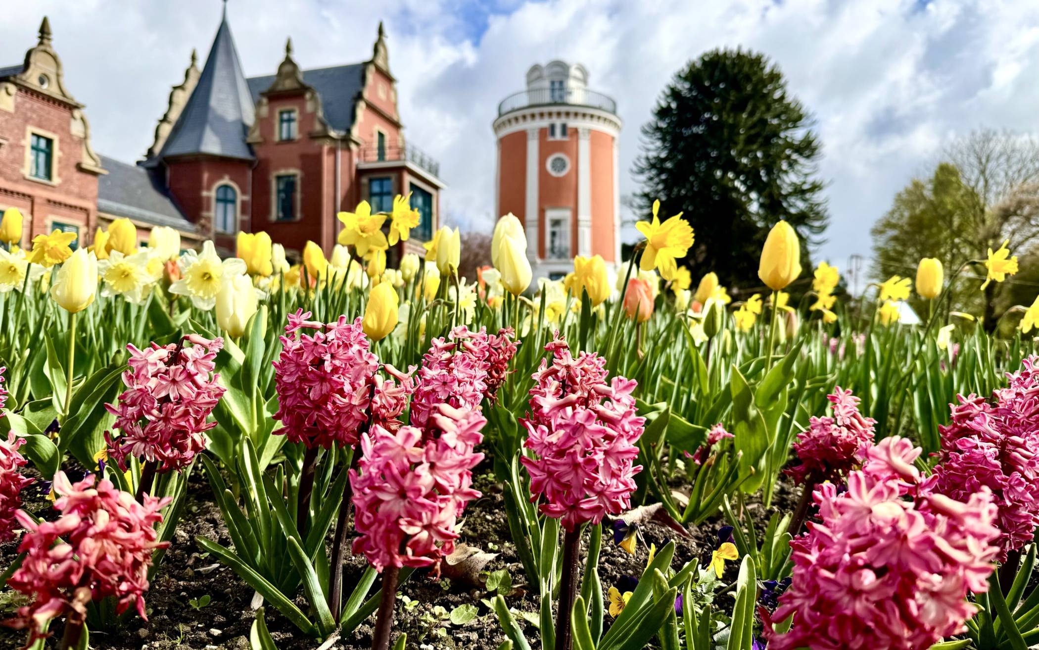 Blumenpracht vor der Villa Eller und