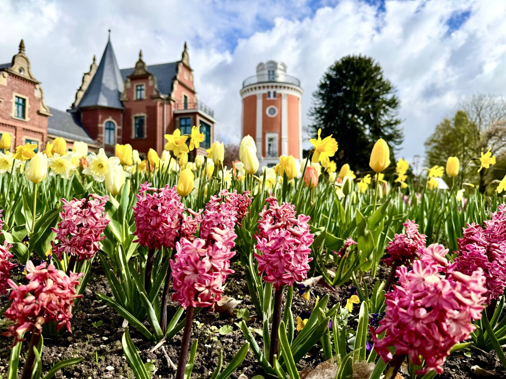 Blumenpracht vor der Villa Eller und dem Elisenturm.
