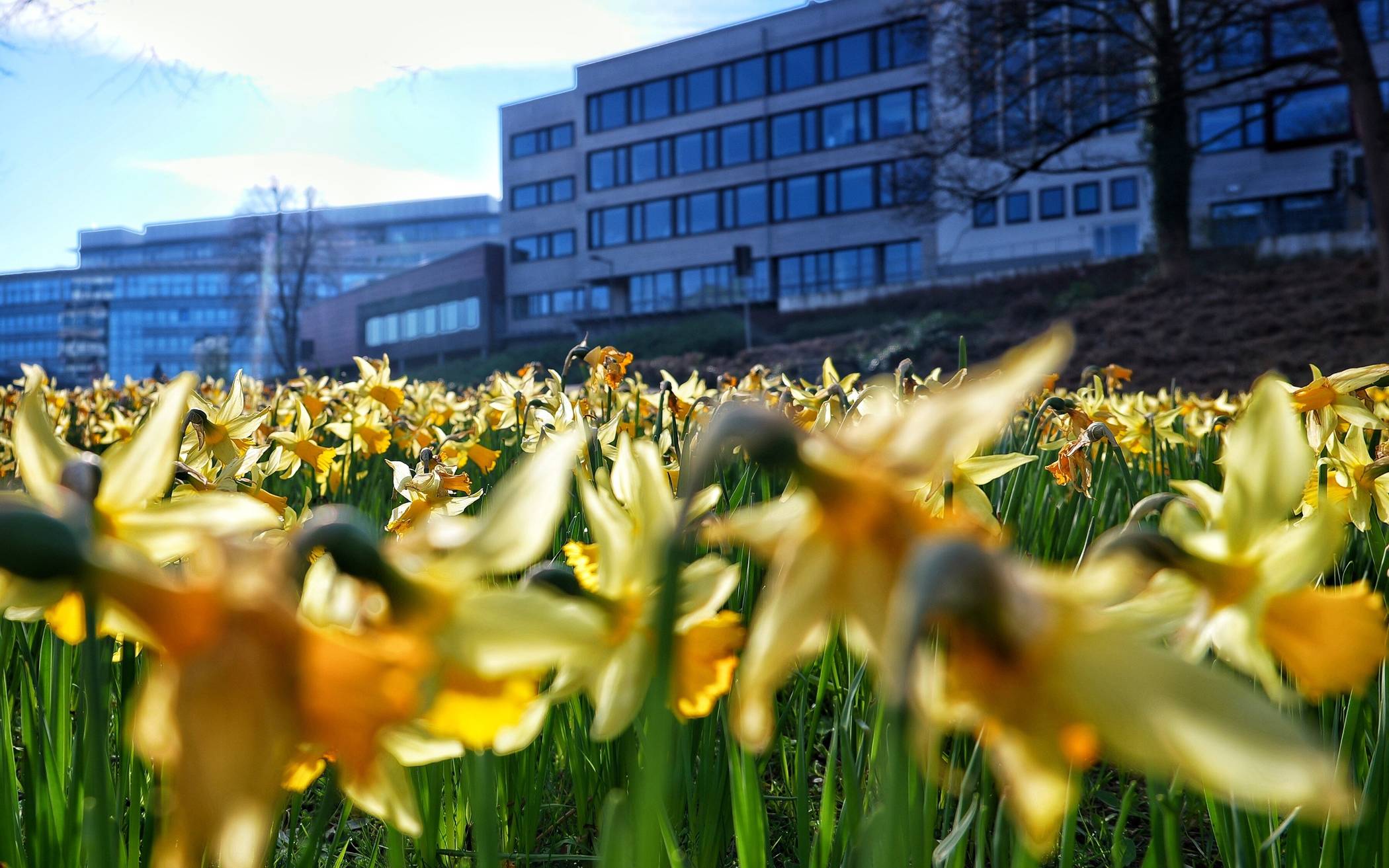 Milder März mit wenig Regen und viel Sonne