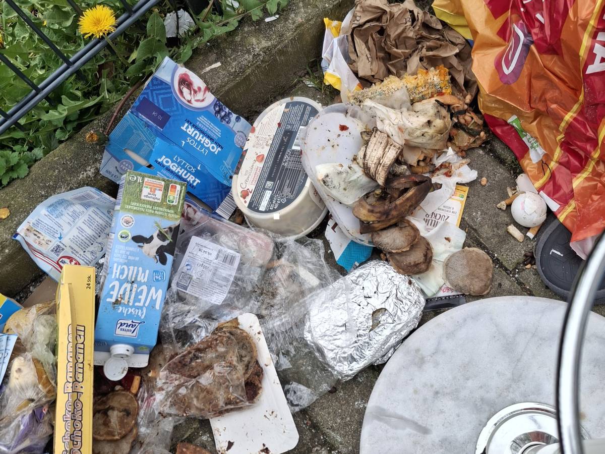 „Die Ratten fühlen sich wohl“