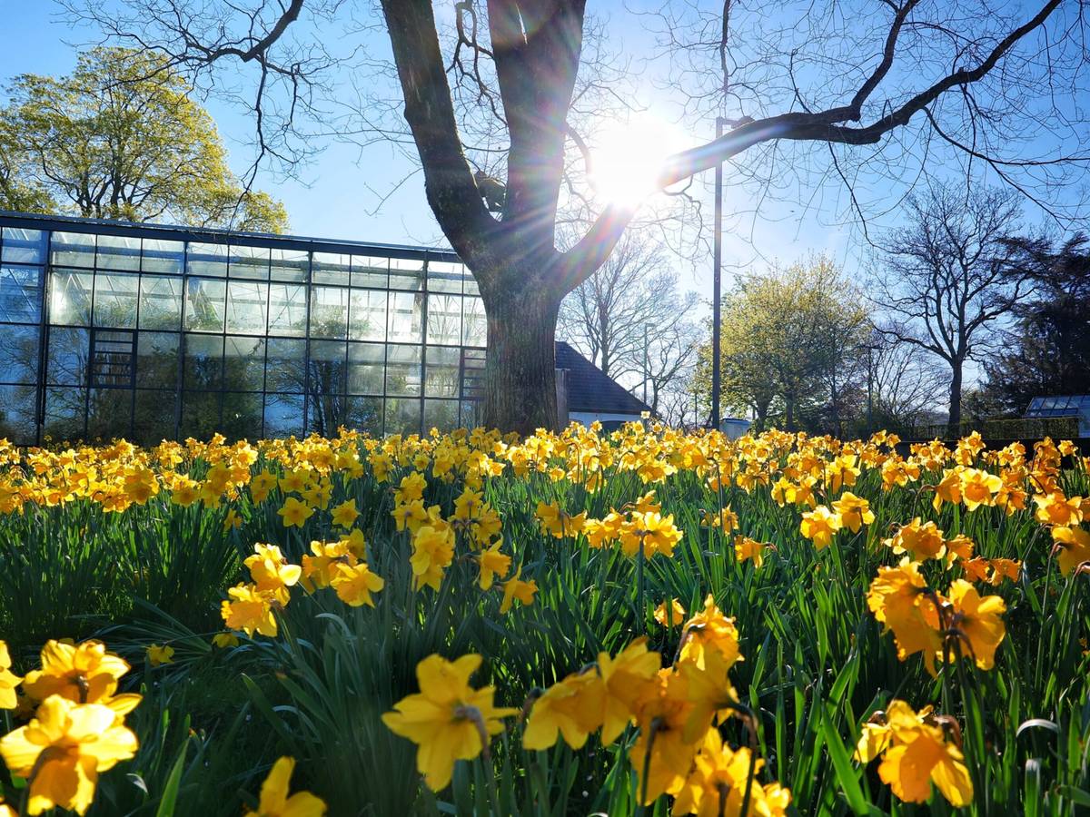 Farbenpracht im Botanischen Garten
