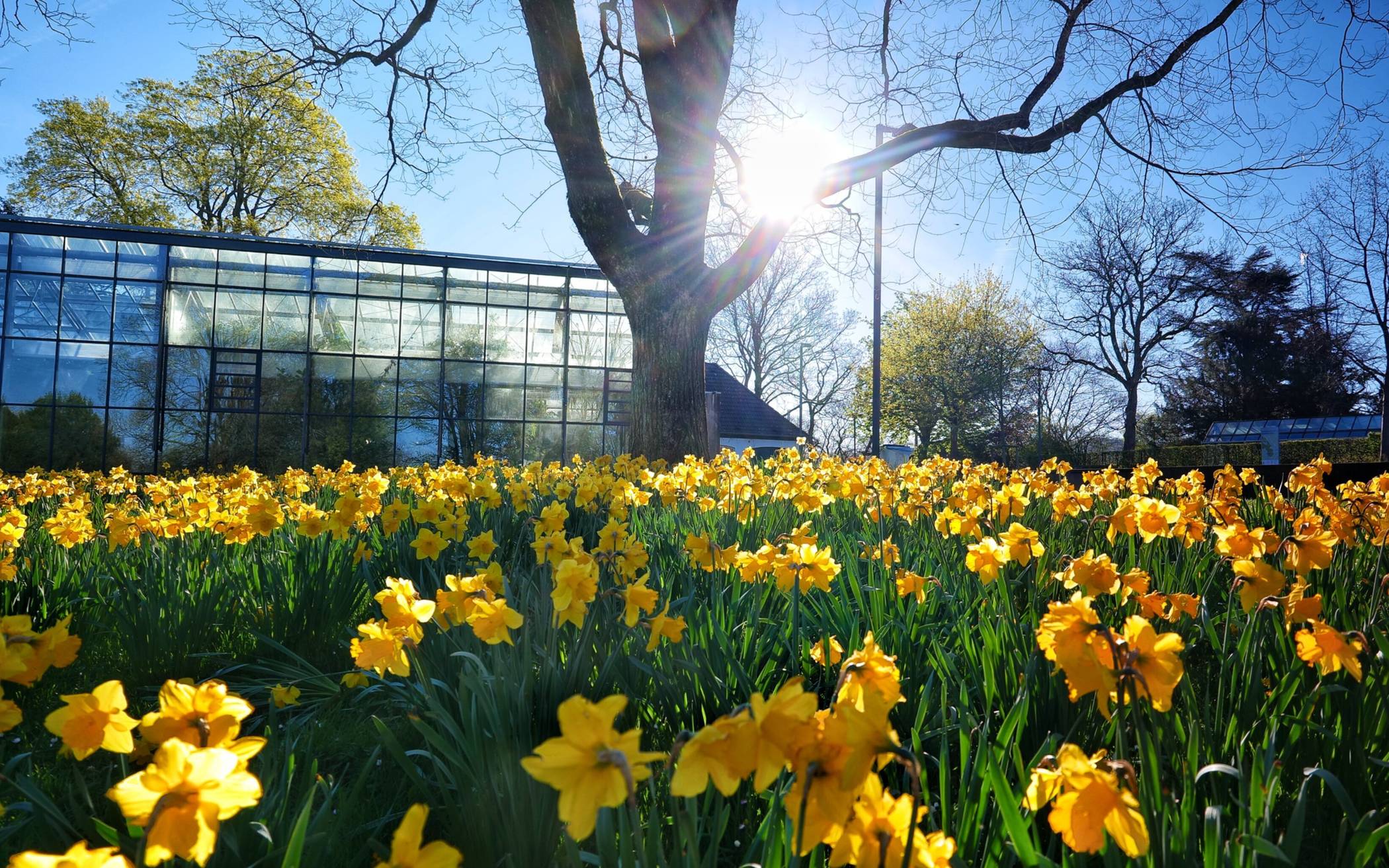 Bilder: Farbenpracht im Botanischen Garten Wuppertal
