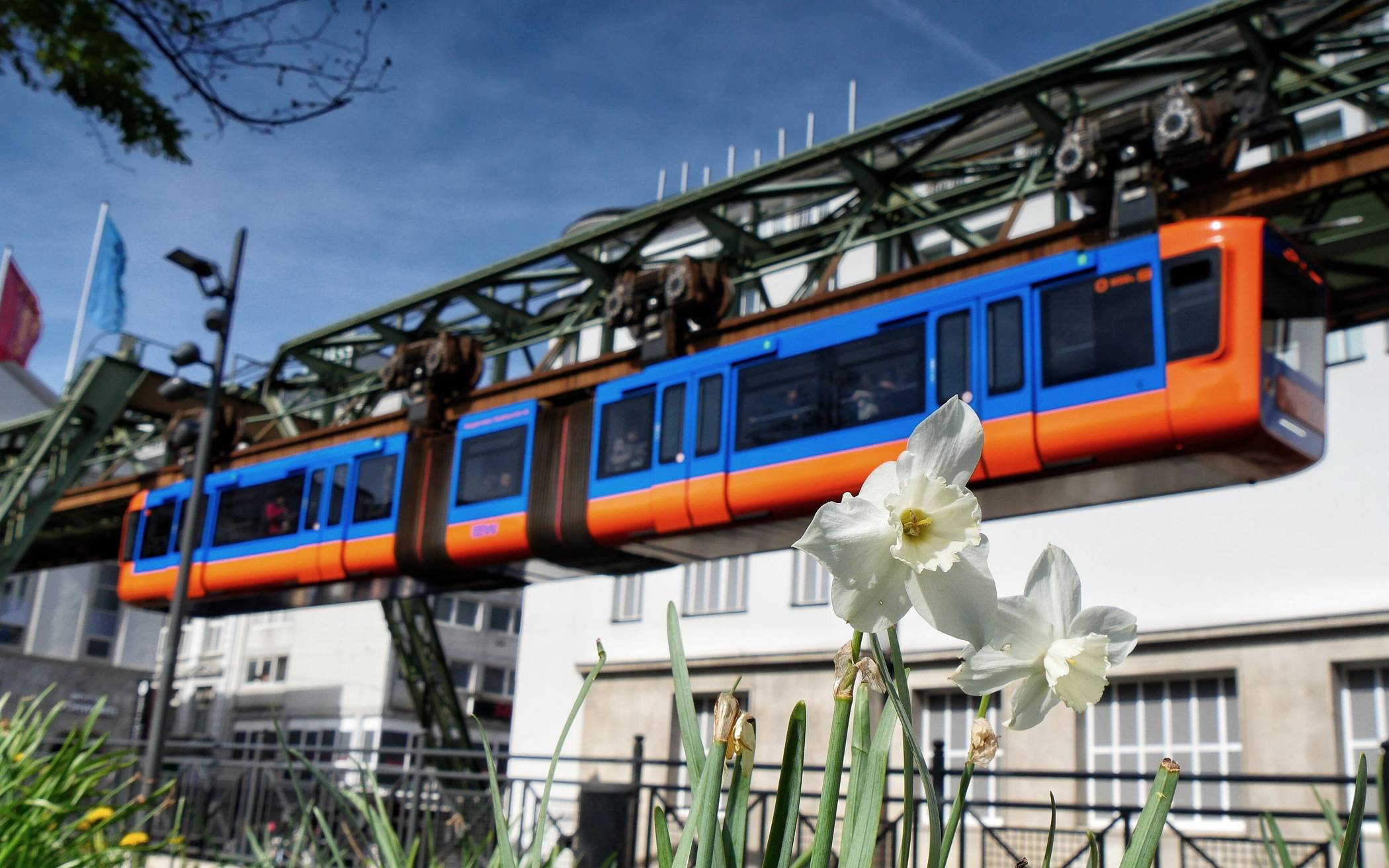 Bilder: Ein Rundgang durch Elberfeld im Frühling