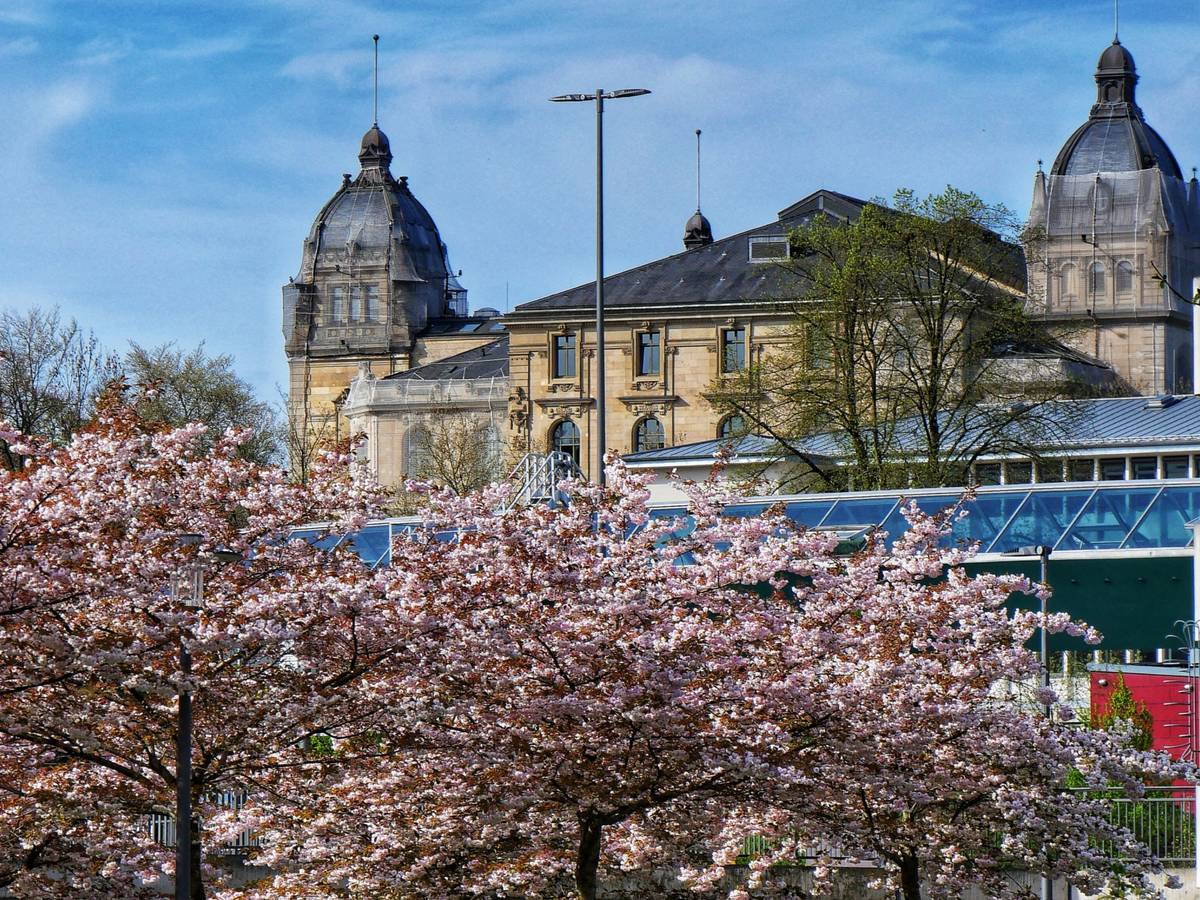 Impressionen: Frühlingshafter Rundgang durch Elberfeld
