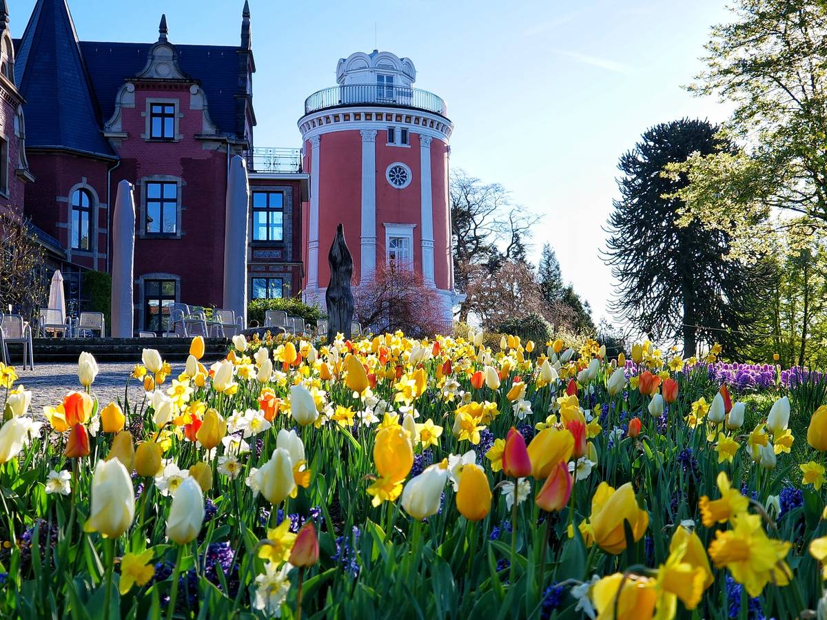 Feierabend-Spaziergang auf der Hardt
