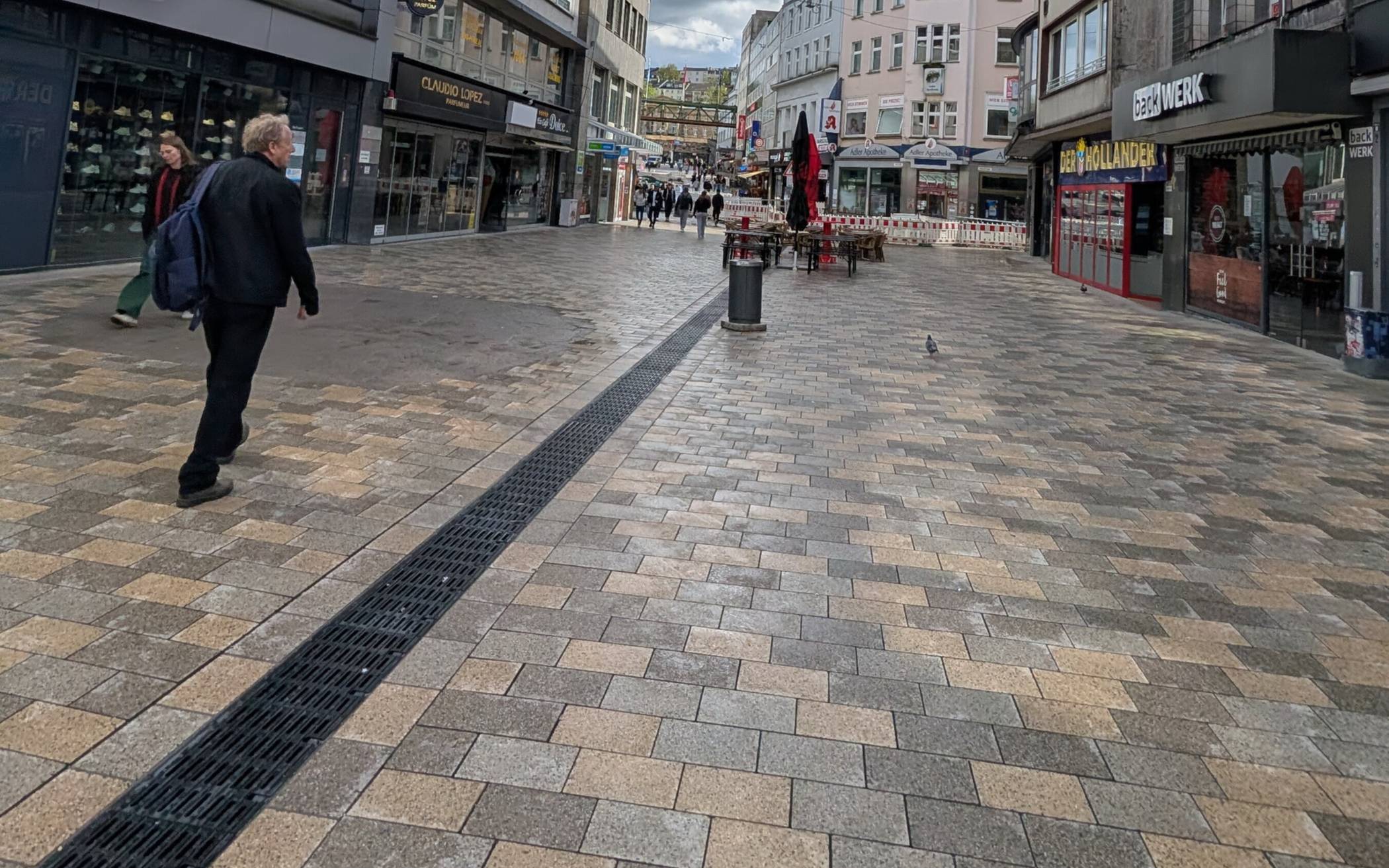 „Bereits sehr viele Bäume verloren“