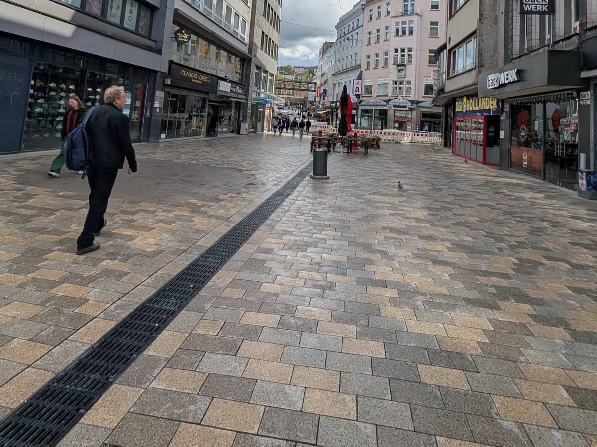 „Bereits sehr viele Bäume verloren“