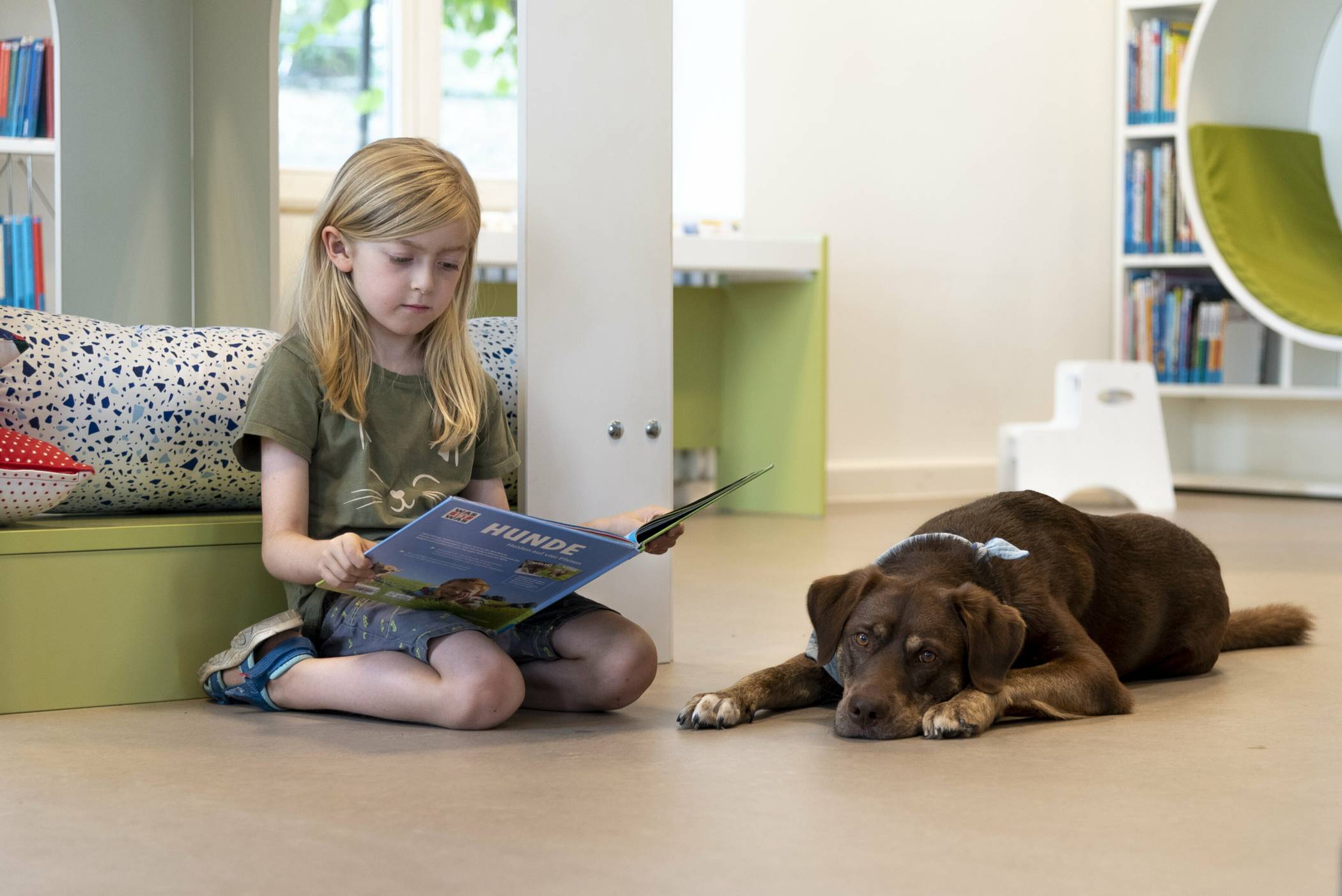  Bibliothekshund Buddie ist als sogenannter Lesehund in der Stadtteilbibliothek Cronenberg im Einsatz. Er schafft eine entspannte Atmosphäre, die es Kindern erleichtert, Nervösität beim lauten Vorlesen abzubauen. 