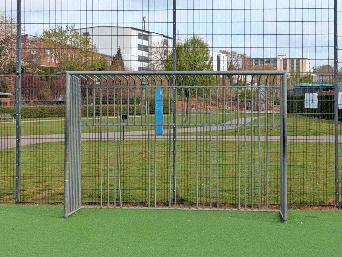 „Ein ambitioniertes Unterfangen“