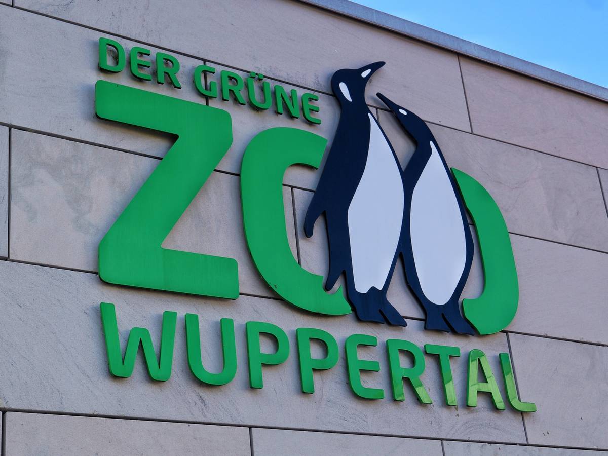 Zoo stellt Großprojekt zur zentralen Energieversorgung ein