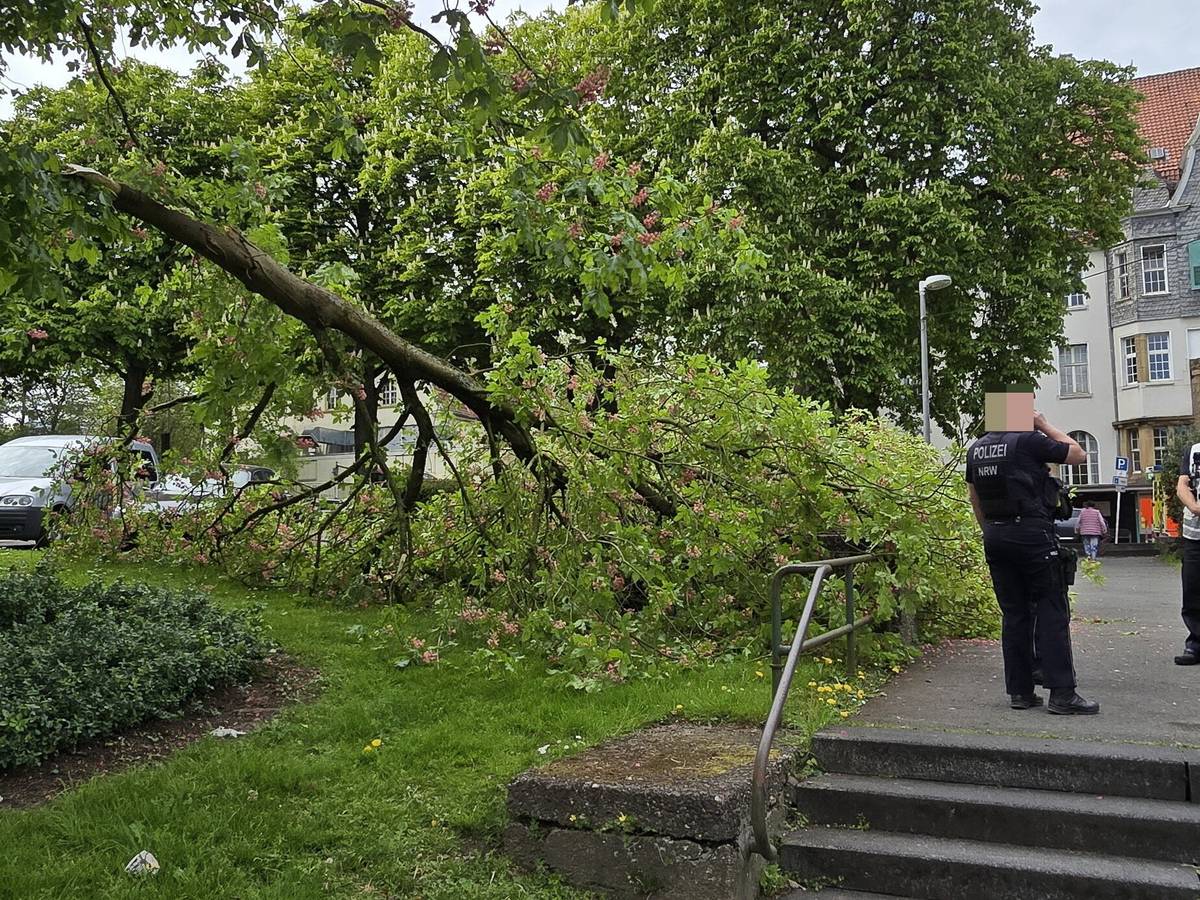 Abgeknickter Ast verletzt vor Klinikum drei Personen