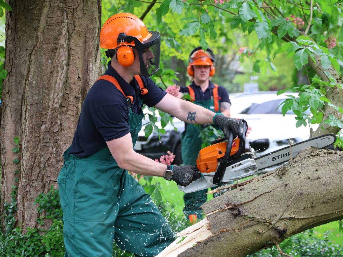 Ast verletzt drei Personen
